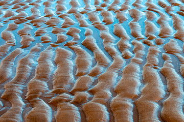 Deep ripples in the sand