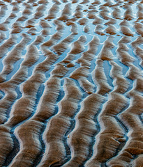 Deep ripples in the sand