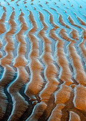 Deep ripples in the sand