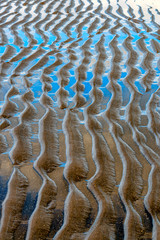Ripple patterns in the sand