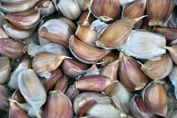 Separated from the head are separate cloves of garlic