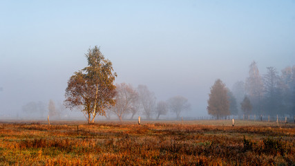 Złota polska jesień na Podlasiu - Polskie Krajobrazy © podlaski49