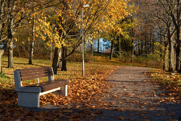 Quiet evening at the park