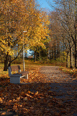 Quiet evening at the park