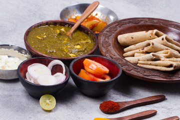 indian traditional palak paneer 