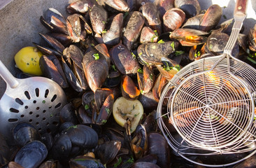 fresh oysters on ice