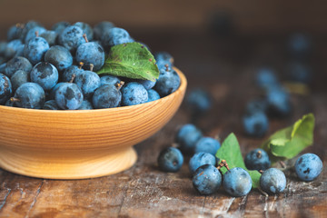 Autumn harvest blue sloe berries on a wooden table background. Dark rustic style