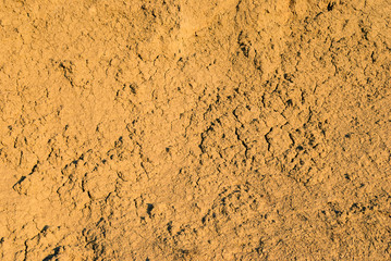 Texture of dry soil
