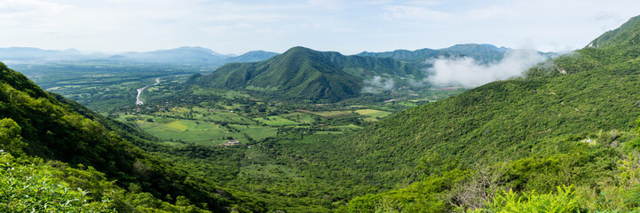 Fototapeta premium campo cuatro