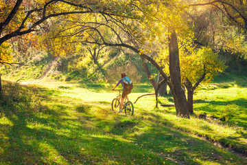 Obraz premium Biking in the forest.