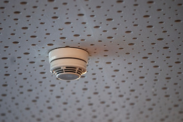 Rauchmelder einer Brandmeldeanlage an einer Akustikdecke in einem &ouml;ffentlichen Geb&auml;ude