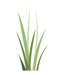Green wild grass. Field plant. Summer grass icon. Flat vector illustration isolated on white background