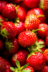 Frische Erdbeeren beim Waschen - 05