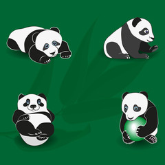 Funny panda on the background of the bamboo branch. Set. 
