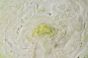 Texture white cabbage