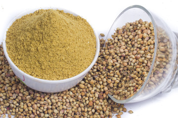 Coriander seeds, fresh coriander and powdered coriander