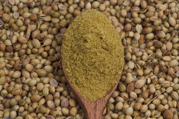 Coriander seeds, fresh coriander and powdered coriander