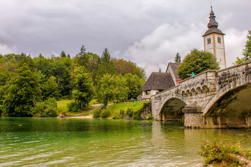 Details from Bohinj lake in national park Triglav - Slovenia