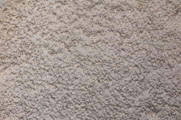 Texture of Grey concrete wall