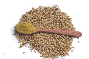 Coriander seeds, fresh coriander and powdered coriander
