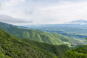 Naklejka premium campo cuatro
