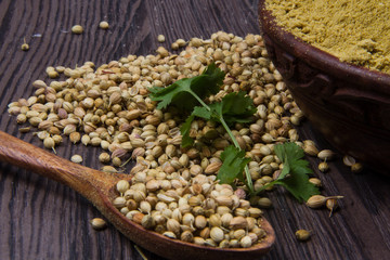 Coriander seeds, fresh coriander and powdered coriander