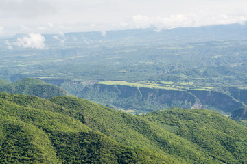 campo cuatro