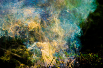 nature smoke from the fire photo
