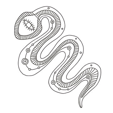 Vector hand drawn black and white illustration of isolated snake with decorative geometrical elements, lines, dots. Picture for coloring. Line drawing. Graphic illustration.