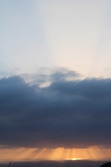 Tramonto con cielo rosso mare nuvola e uccelli in volo