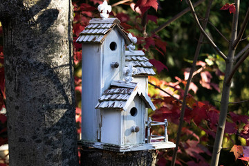 Birdhouse, Cabane d'oiseau en automne, Estrie Canada