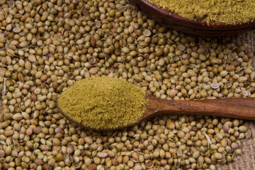 Coriander seeds, fresh coriander and powdered coriander