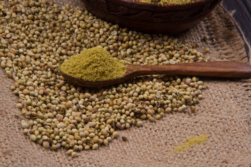 Coriander seeds, fresh coriander and powdered coriander