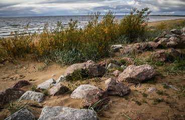 Fototapeta na wymiar North sea, Gulf of Finland, beach,