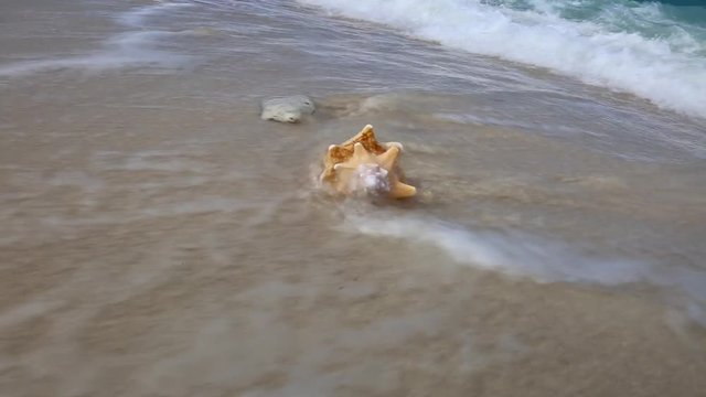 Beutiful beach near cuba with shells. Place called Fort Mayers. Recorded in 2016 with a canon 6d.