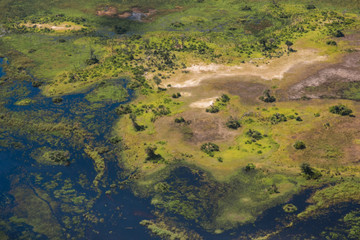 An aerial view capturing the swirling patterns of lush vegetation, water and land in the Okavango Delta, Botswana