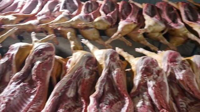  Tasty panoramic shot of raw swinne bodies cut in two halves lying on long tables in  airy butchery. They look fresh, sappy and delicious.