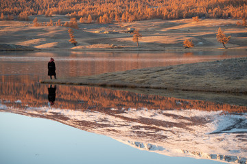 Mongolia Altai lake in autumn at sunrise - tree reflexion with snowy mountains