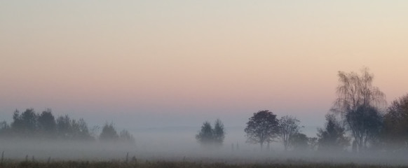 dawn in autumn through the fog