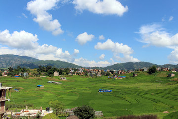 The ricefield around the highway between Dhulikhel and Kathmandu