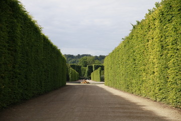 gardens of versailles