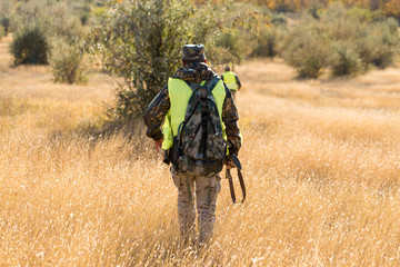 Hunters with a german drathaar and spaniel, pigeon hunting with dogs in reflective vests