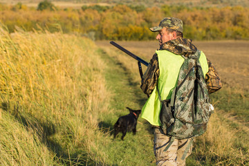 Hunters with a german drathaar and spaniel, pigeon hunting with dogs in reflective vests