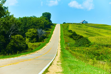 Iowa Endless Road in Field