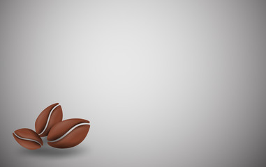 Coffee seed illustration