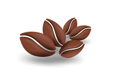 Coffee seed illustration