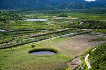 Naklejka premium Neretva-Delta, Kroatien