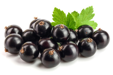 black currant with leaf isolated on white background