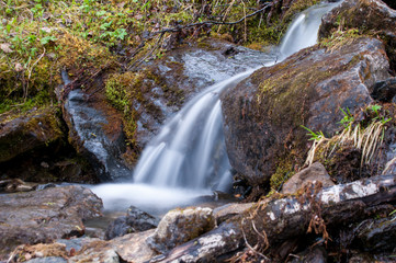 Small creek in the woods.