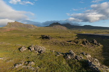 Fototapeta na wymiar Landscape with wooly moss of Iceland. The moss is a predominant part of the wild vegetation & usually the first to colonize newly run lava, covering the sharp-edged black stone with soft green carpets